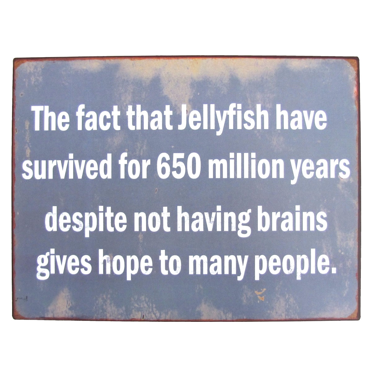TreasureGurus Jellyfish Brains Metal Sign - Thumbnail 2