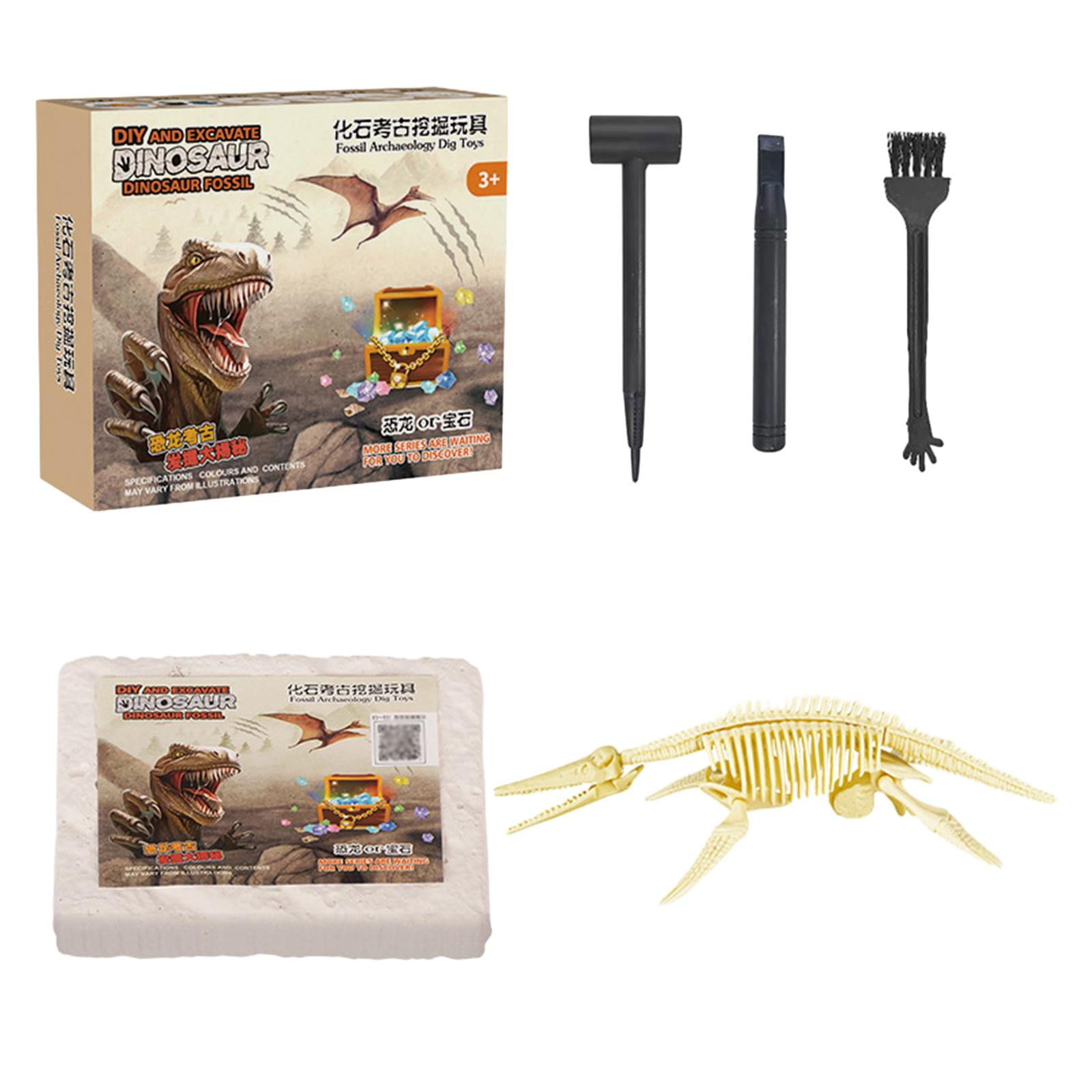 Funny Kids Excavation Kits Archaeology Science Kits Early