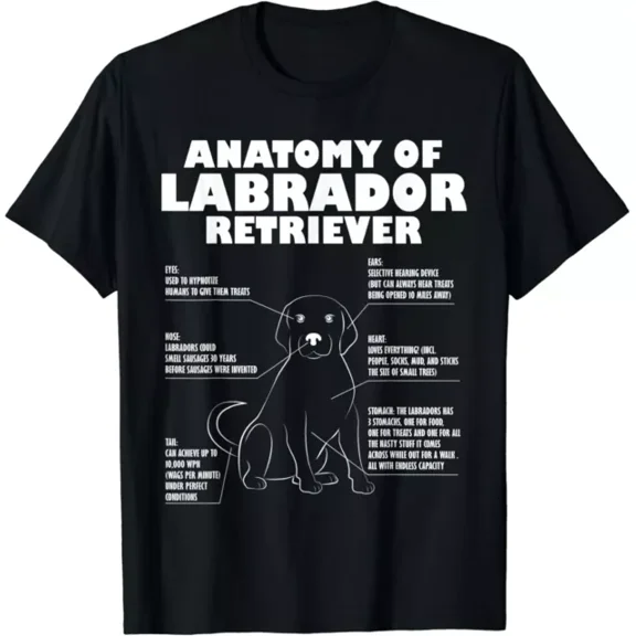 Funny Labrador Shirt Anatomy Of A Labrador Retriever Gift T-Shirt Unisex S-5XL Hot Trending Shirt, Vintage Birthday Gift