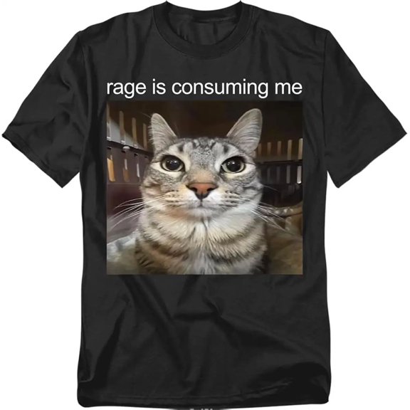 Funny Meme Rage Is Consuming Me Unisex Adult Statement Unisex T-Shirt, S - 5XL