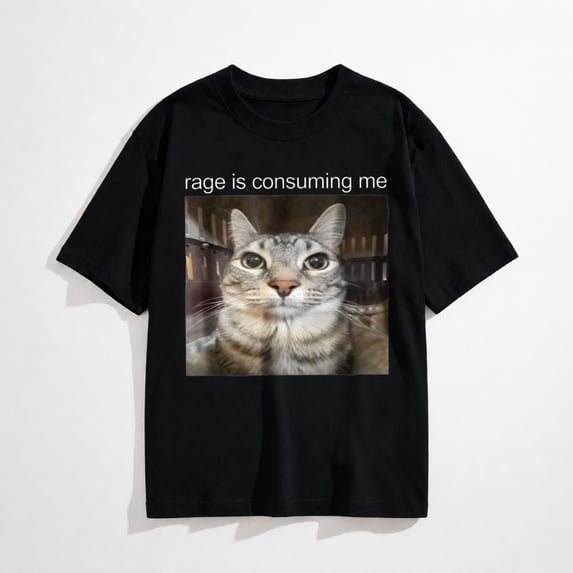 Funny Meme Rage is Consuming Me Unisex Adult T Shirt