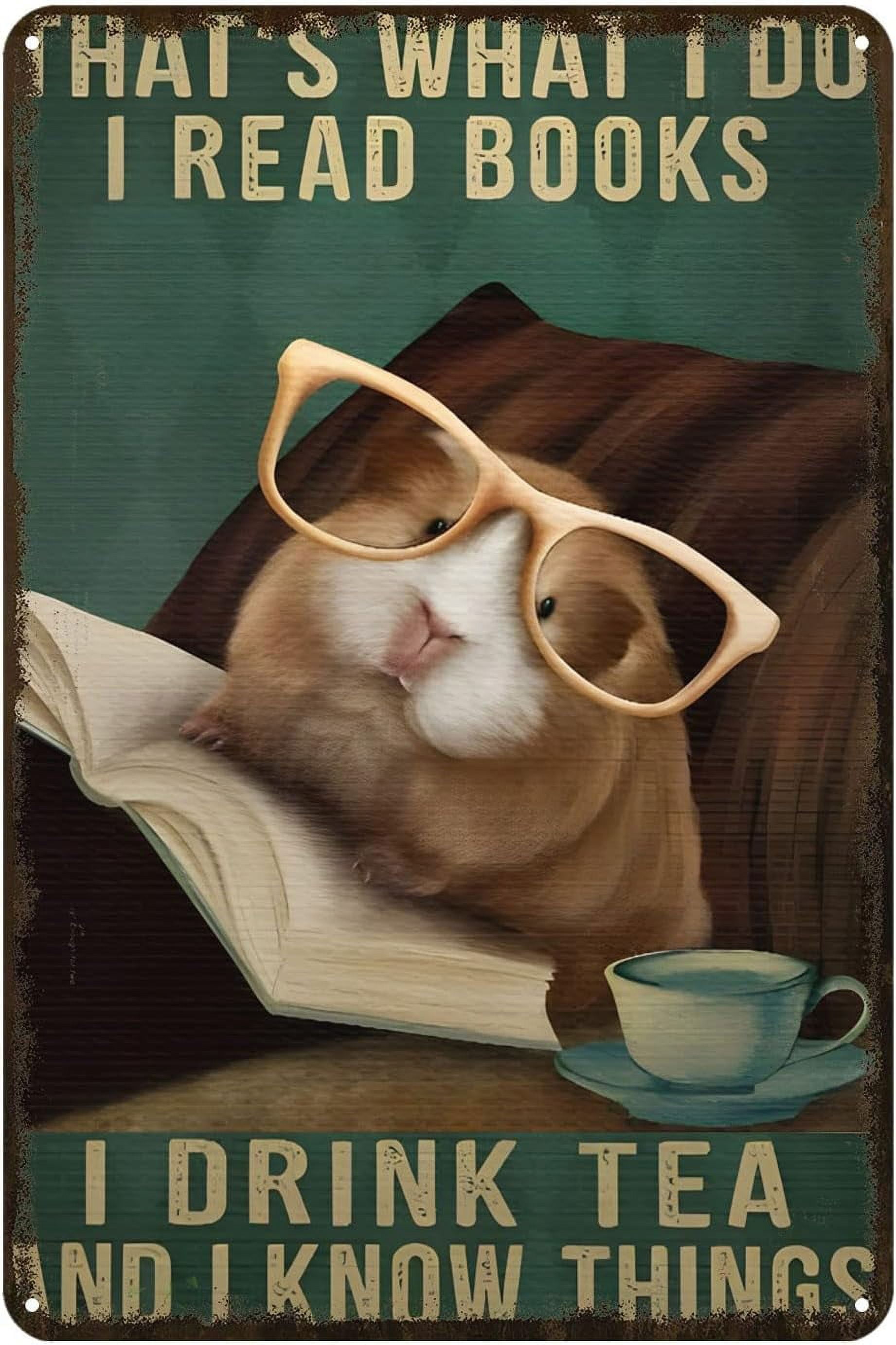 Targa in latta con scritta in lingua inglese It's a Good Day To Read A Book, stile vintage, per negozi, bar, decorazioni per la casa, 20,3 x 30,5 cm