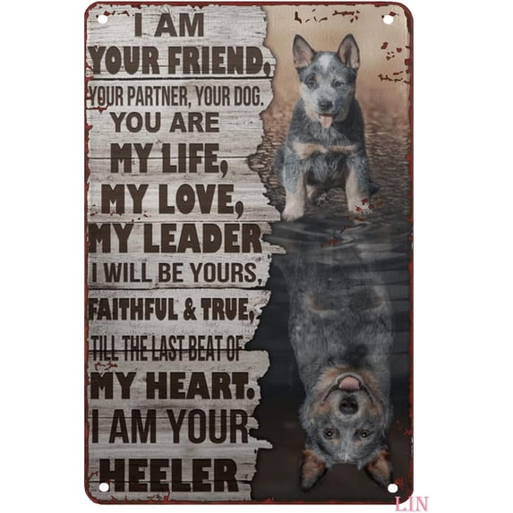 Funny Metal Signs Vintage Blue Heeler I am Your Friend Your Partner Your Dog You are My Life My Love Tin Sign Chic Art Wall Metal Decorations Funny Iron Plaque Signs Gift for Living Room 8x12 inch
