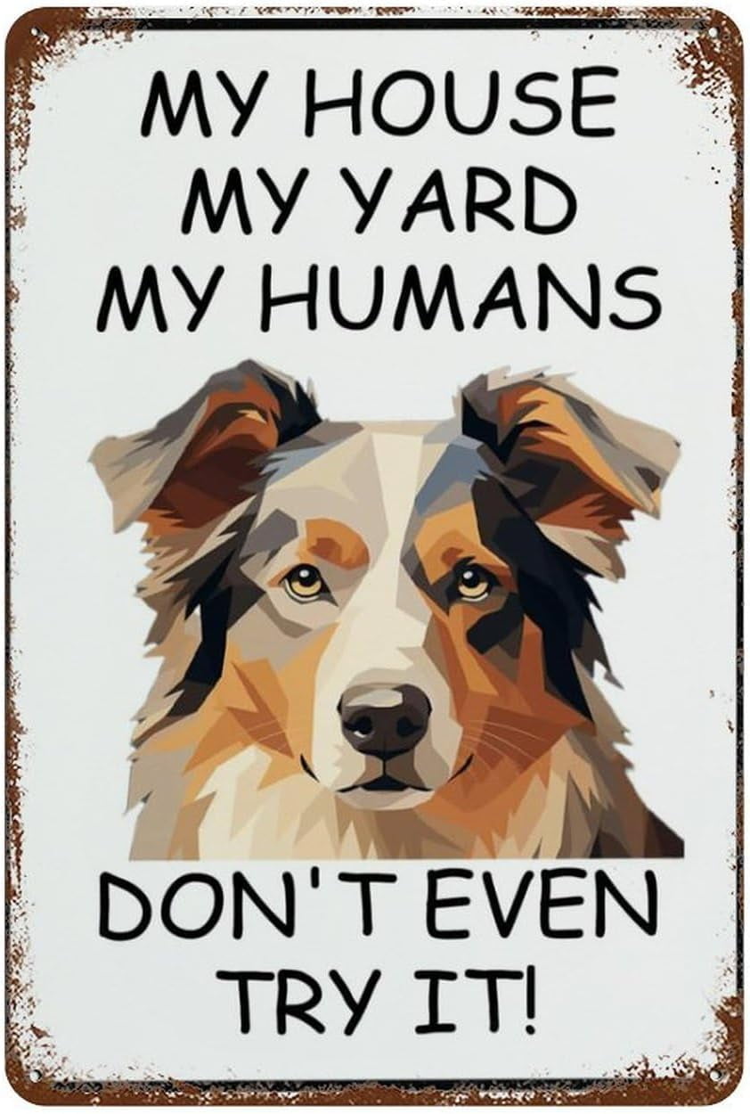 Targa In Latta Vintage 'My House My Yard My Humans' Con Bassotto – 20x30 Cm, Decorazione Murale Retrò