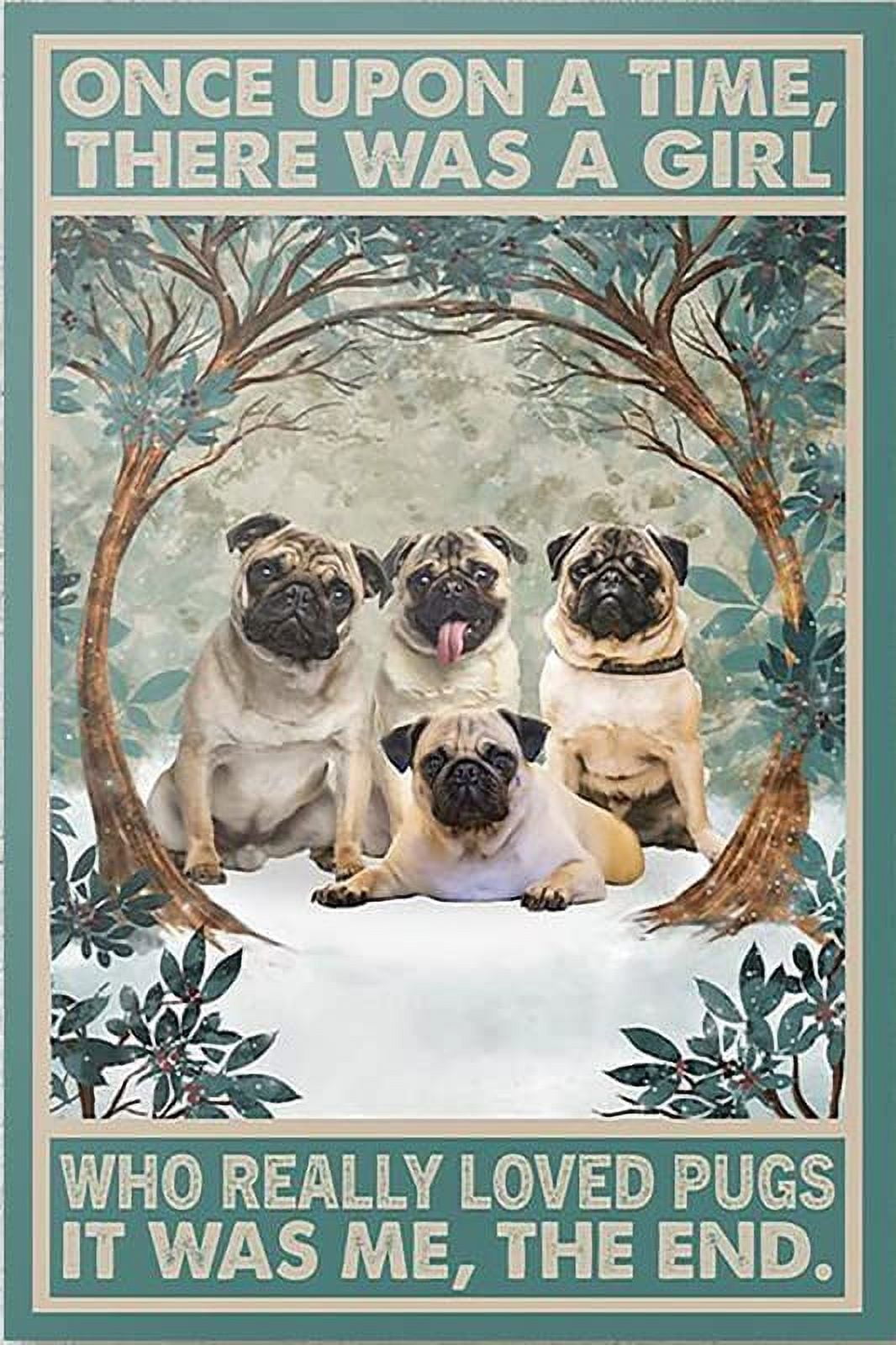 Targa In Metallo Long Haired Dachshunds | Insegna Decorativa 20x30cm, Scritta Divertente