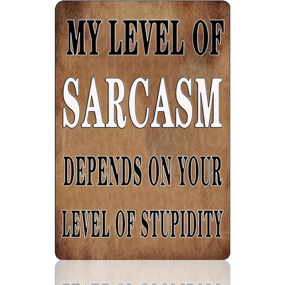 Funny Metal Tin Sign No Stupid People Signs Warning Tin Signs No Stupid People Beyond This Point Garage Sign For Men Mancave Room Decor Man Cave Aesthetic No Trespassing Tin Signs 8x12 Inch
