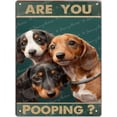 thumbnail image 1 of Funny Metal Tin Sign Are You Pooping Quirky Decor for Your Bathroom,A Nostalgic Statement Piece Dog Wall Art Decoration,Bathroom Vintage-inspired Iron Poster 12x16 inches, 1 of 6