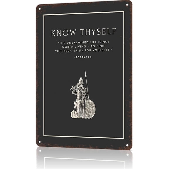 Funny Metal Wall Sign Know Thyself Vintage Tin Poster for Home Bedroom Office Decor 8x12 Inch
