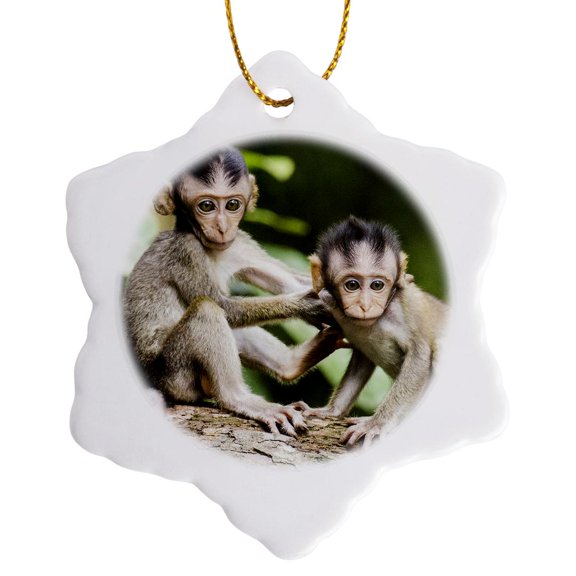 3drose, Funny Monkeys. Brothers. Wildlife. Safari. Africa., 3 inch Snowflake Porcelain Ornament