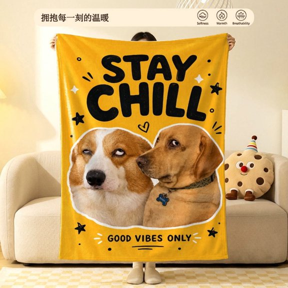 Funny Mood Side Eye Dog Flannel Fleece Throw Blanket Soft Cozy Plush Yellow Lab Corgi Meme Graphic for Couch Sofa Dorm6080in