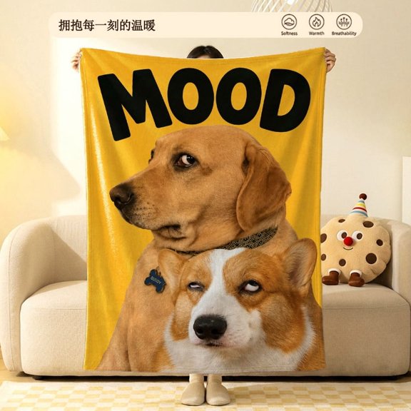Funny Mood Side Eye Dog Flannel Fleece Throw Blanket Soft Cozy Plush Yellow Lab Corgi Meme Graphic for Couch Sofa Dorm6080in