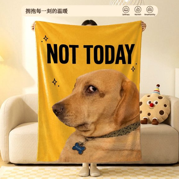 Funny Mood Side Eye Dog Flannel Fleece Throw Blanket Soft Cozy Plush Yellow Lab Corgi Meme Graphic for Couch Sofa Dorm6080in