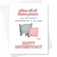thumbnail image 1 of Funny Mother's Day Card, First Mother's Day, Sarcastic Card, 1 of 3