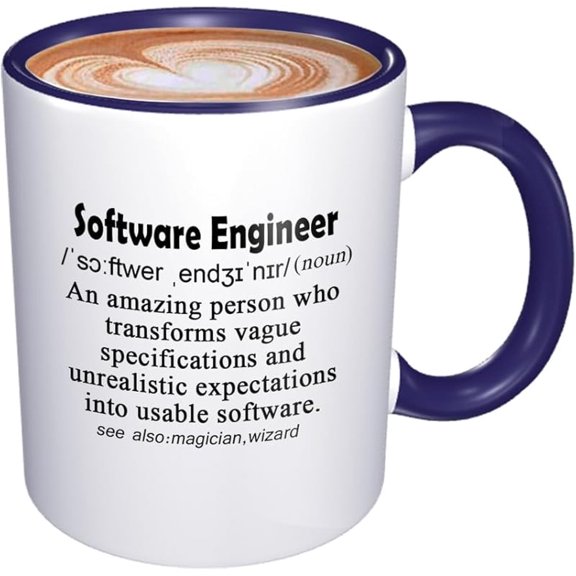 Funny Mug Computer Programmer Gifts for Software Engineer Gift Software Developers Mug Funny Explaination of Sofeware Engineer 11oz BLACK Handle