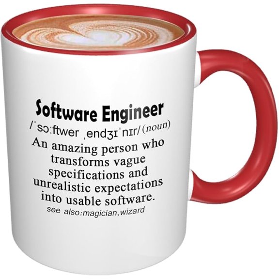 Funny Mug Computer Programmer Gifts for Software Engineer Gift Software Developers Mug Funny Explaination of Sofeware Engineer 11oz BLACK Handle