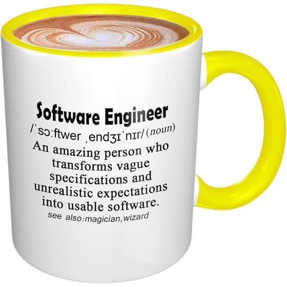 Funny Mug Computer Programmer Gifts for Software Engineer Gift Software Developers Mug Funny Explaination of Sofeware Engineer 11oz BLACK Handle