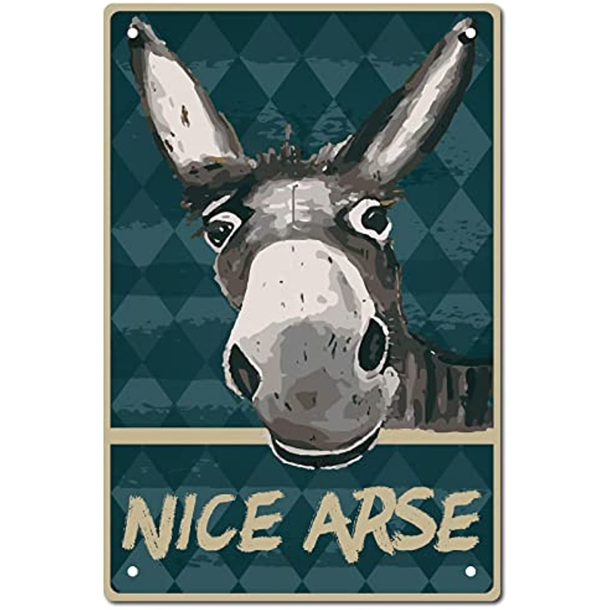 Funny Nice Arse Donkey Sign Vintage Tin Signs Funny Metal Tin Sign Wall
