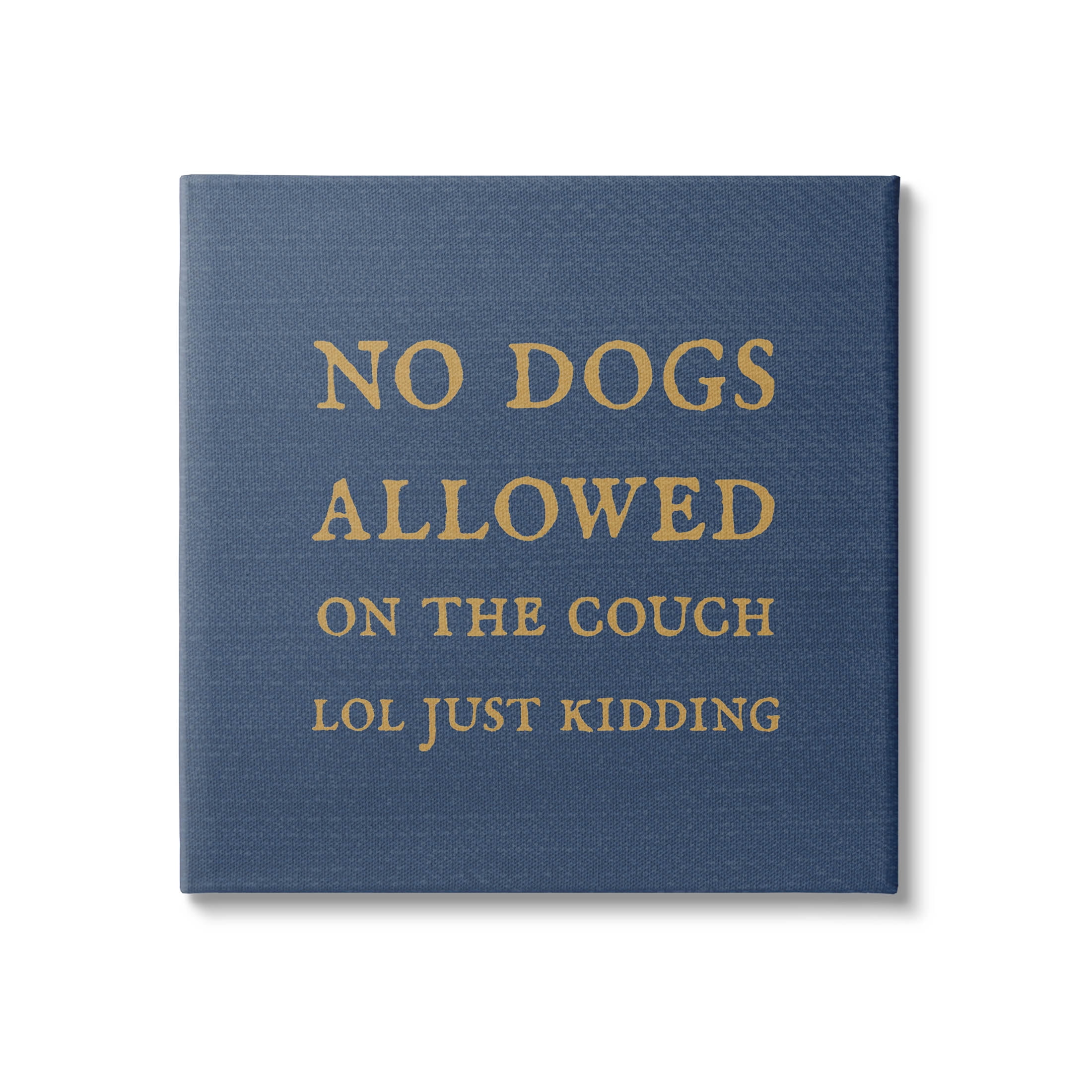 Funny No Dogs Allowed Pet Phrase Typography Graphic Art Gallery Wrapped Canvas Print Wall Art