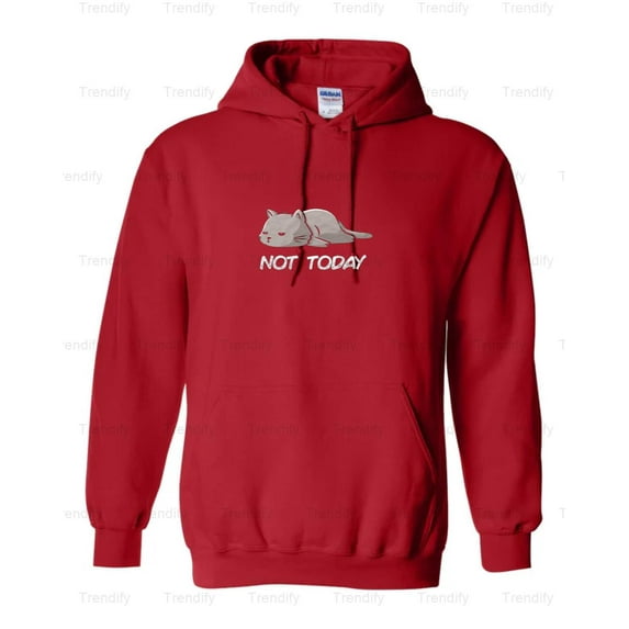 Funny Not Today Cat Sarcastic Pet Lover Hoodie M3082797, Up to Size 5XL