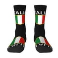 thumbnail image 1 of Funny Novelty Colorful Socks Italia Italian Flag Italy Patterned Casual Crew Socks, 1 of 7