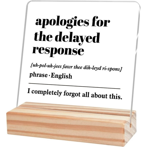 Funny Office Desk Decor Coworker Gift for Women Men,Cute Office Tabletop Decor,Motivational Office Desk Decor, Apologies For The Delayed Response Definition Office Sign Acrylic Plaque