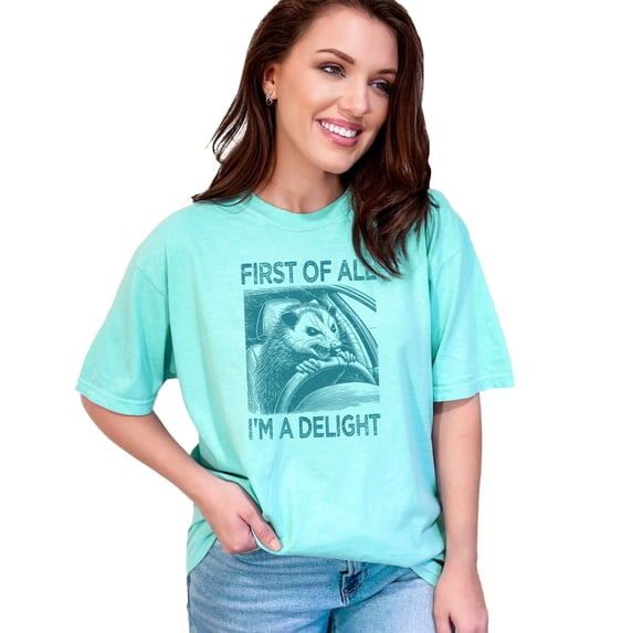 Funny Opposum Quote Graphic Tee, Humorous Animal Print T-Shirt, Quirky Wildlife Design Top, Comedy Slogan Shirt, Cute Animal Lover's Gift, Chalky Mint Comfort Colors T-Shirt, Small