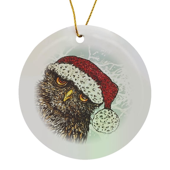 3drose, Funny Owl Peering into View with a Christmas Hat, Circle Porcelain Ornament