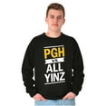 thumbnail image 1 of Funny PGH Pennsylvania Vs All Yinz Sweatshirt for Men or Women Brisco Brands S, 1 of 6