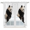 thumbnail image 1 of Funny Panda Swag Valances for Windows 2 Pack, Kitchen Window Curtains 36 Inch Length, Cute Art Fun Lovely Animals on Toilets Privacy Swag Curtains for Living Room/Bathroom with Rod Pocket 36"x36", 1 of 8