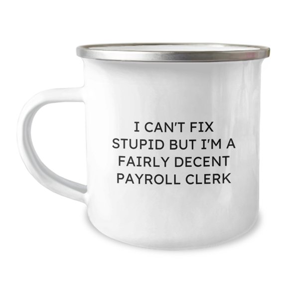 Funny Payroll Clerk Gifts for Men, Christmas Unique Mugs from Friends, I Can't Fix Stupid But I'm A Fairly Decent