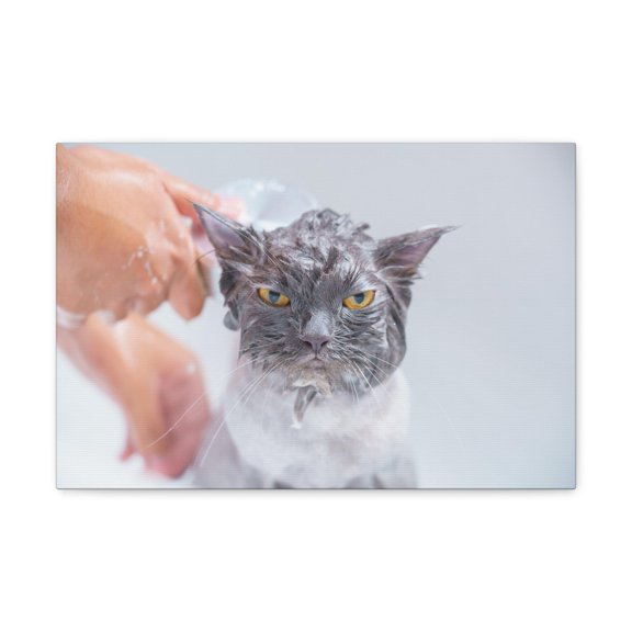 Funny Persian Cat Bathee Canvas Wall Art for Home Decor Ready-to-Hang