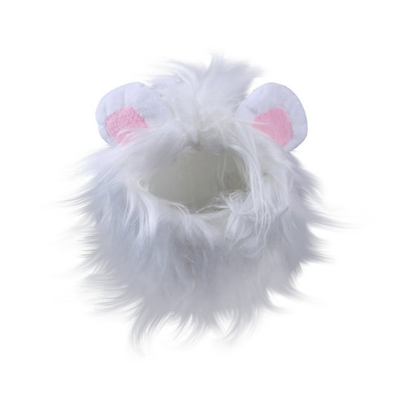 Funny Pet Costumes, Cats And Dogs Transformed Into Funny Holiday Costumes, Wild Hats And Headgear