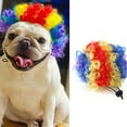 thumbnail image 1 of Funny Pet Dress Up Wig Dog Cat Party Attire Festival Event Birthday Photo Travel Outfit - Medium Large Dog Cat Wig （Multicolor）, 1 of 7
