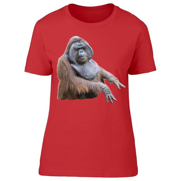 Funny Picture Of Orangutan  T-Shirt Women -Image by Shutterstock, Female Large