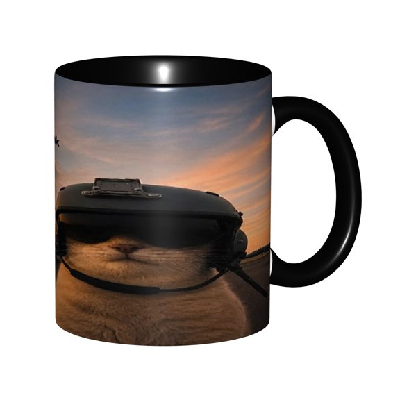 Funny Pilot Cat "Let Whoever Think Whatever" Mug 11oz - Sunset Fighter Jet Meme Design, Microwave & Dishwasher Safe, Novelty Gift for Cat Lovers & Aviation Fans
