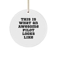 thumbnail image 1 of Funny Pilot Gifts for Men, Circle Ornament - This Is What An Awesome Pilot Looks Like, Christmas Unique Gifts from Friends, 1 of 4