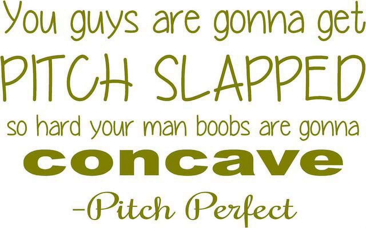 Funny Pitch Perfect Quote - 