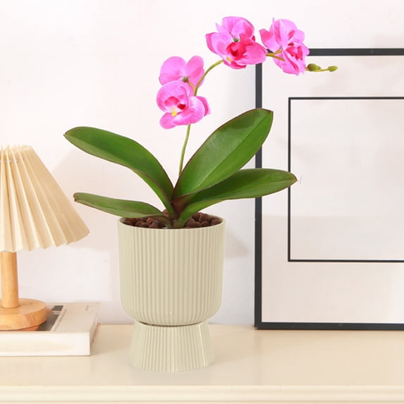 Funny Plant Pots – Creative Split Design Flower Pot with Drainage Holes, Cute Resin Flower Pots for Home and Office Decor