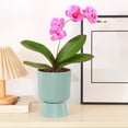 thumbnail image 1 of Funny Plant Pots – Creative Split Design Flower Pot with Drainage Holes, Cute Resin Flower Pots for Home and Office Decor, 1 of 7