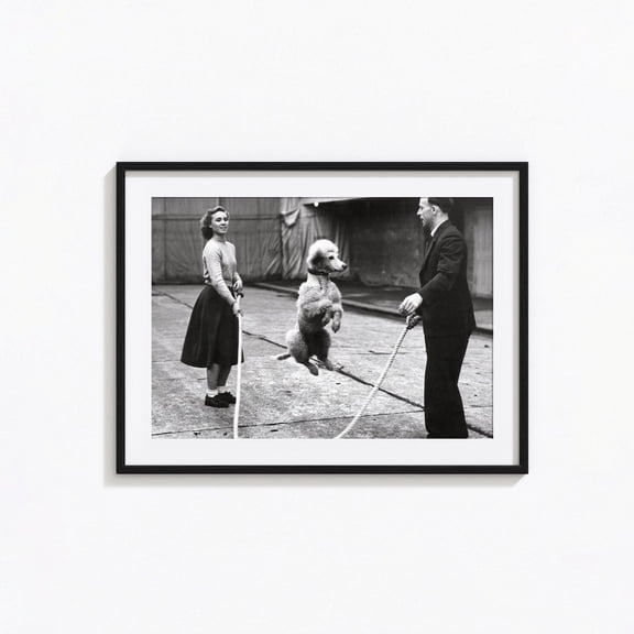 Funny Poodle Jump Rope Performance Circus Animal Black and White Retro Photography Wall Art, Unframed Poster