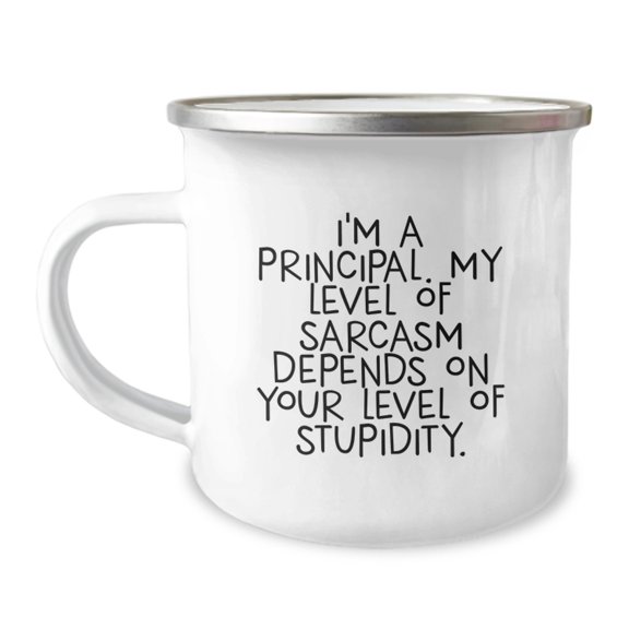 Funny Principal Gifts from Men, Principal Christmas Unique Mugs for Work Friends - I'm A Principal. My Level Of Sarcasm Depends On Your Level Of Stupidity.