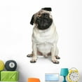 thumbnail image 1 of Funny Pug Puppy Sitting Wall Decal by Wallmonkeys Peel and Stick Graphic (48 in H x 32 in W) WM357402, 1 of 4