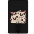 Funny Pug Usb Flash Drive Bulk Memory Usb Stick Key Credit Card Design