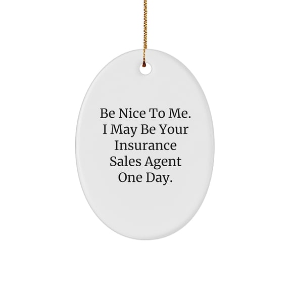 Funny Quote Gifts from Family - Insurance Sales Agent Oval Ornament for Christmas Unique Gifts - Be Nice To Me One Day