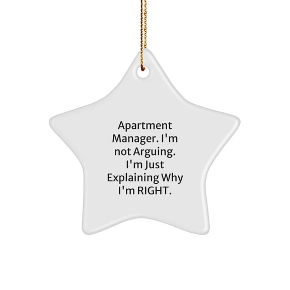 Funny Quotes for Apartment Managers, Christmas Star Ornament, Gifts from Friends, Fun Decorations for Apartment Manager, Apartment Manager Gifts with Humor