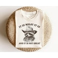 Funny Raccoon Shirts Trash Panda TShirt, It Is What It Is And It Is Not