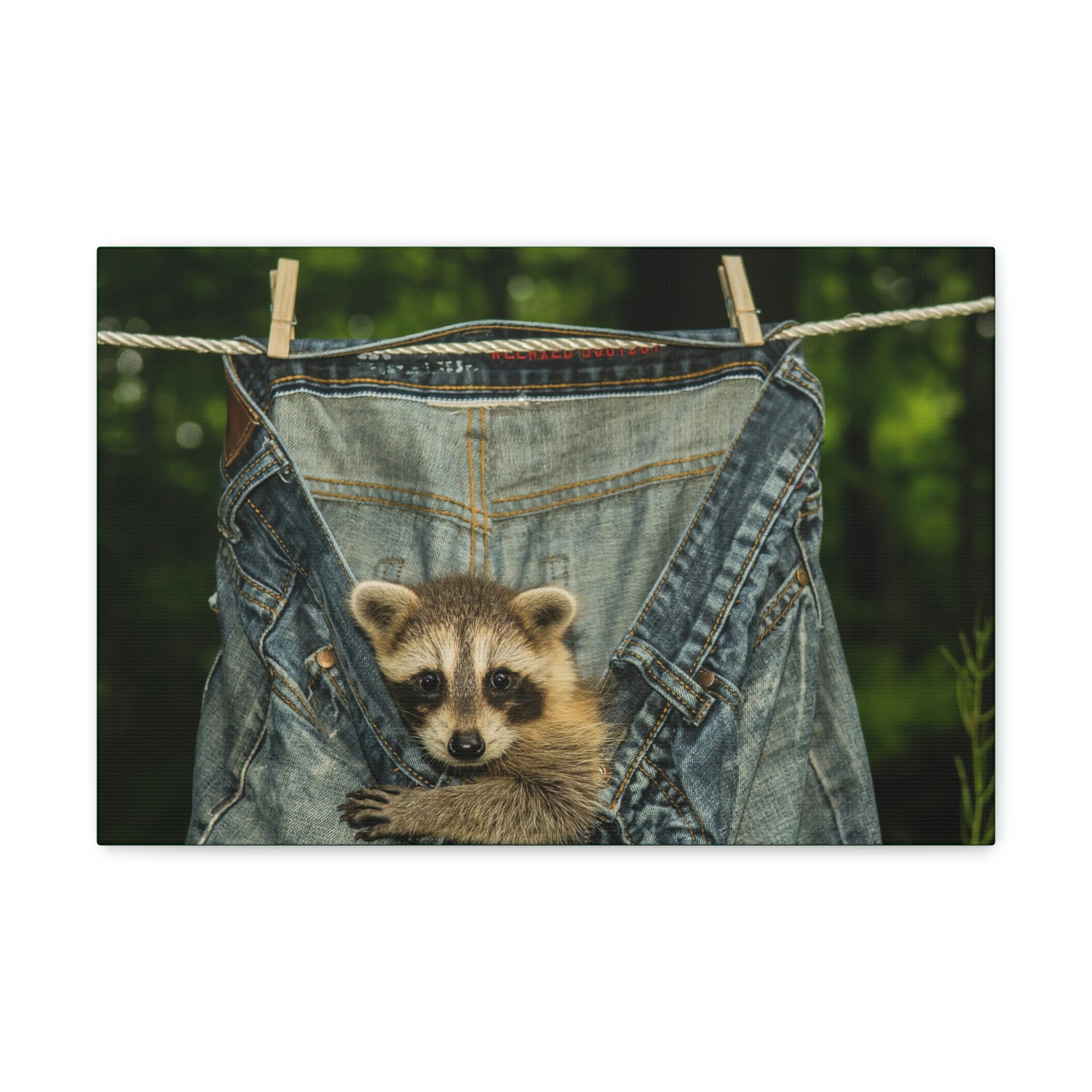 Funny Raccoon Wall Art - 'Welcome To My Crib' Canvas Print With Wood Frame, Whimsical Home Decor Sign (14x18 Inches)