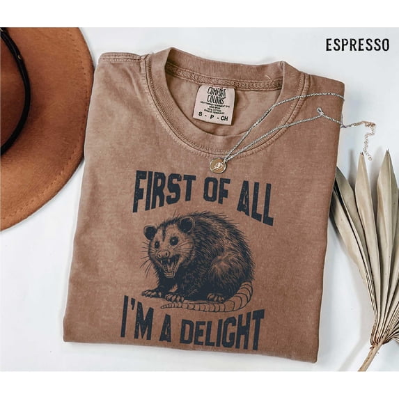 Funny Raccoon T-Shirt: Sarcastic Womens Tee