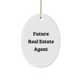 thumbnail image 1 of Funny Real Estate Agent Oval Ornament Gifts from Friends to Real Estate Agent Future Quotes Christmas Unique Gifts, 1 of 4