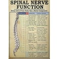 thumbnail image 1 of Funny Retro Metal Tin Sign Spinal Nerve Function Poster Poster Spinal Nerve Function Chart Root Chart Chiropractic Rustic Home Decor Room Decor Sign for Bedroom 8"x12", 1 of 5